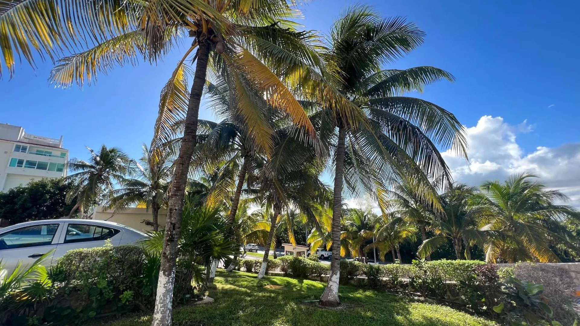 Apartment Solymar Studio Apt Beachfront Resort With Sunset Views Cancun